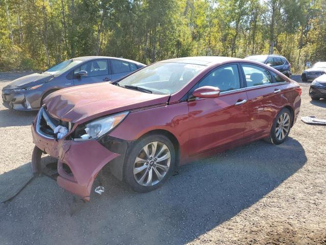 2013 HYUNDAI SONATA SE 2013