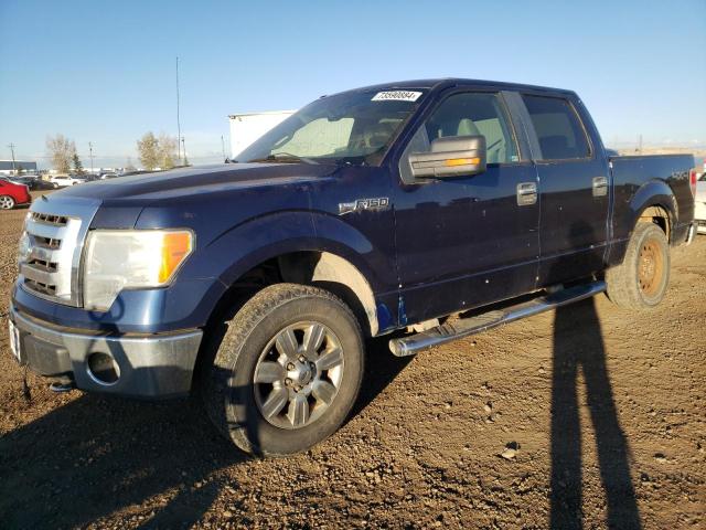 2009 FORD F150 SUPER 1FTPW14V69FB35860  73590884