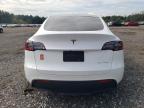 Lot #3026018953 2023 TESLA MODEL Y