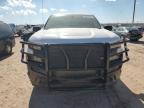 Lot #3023626280 2021 CHEVROLET SILVERADO