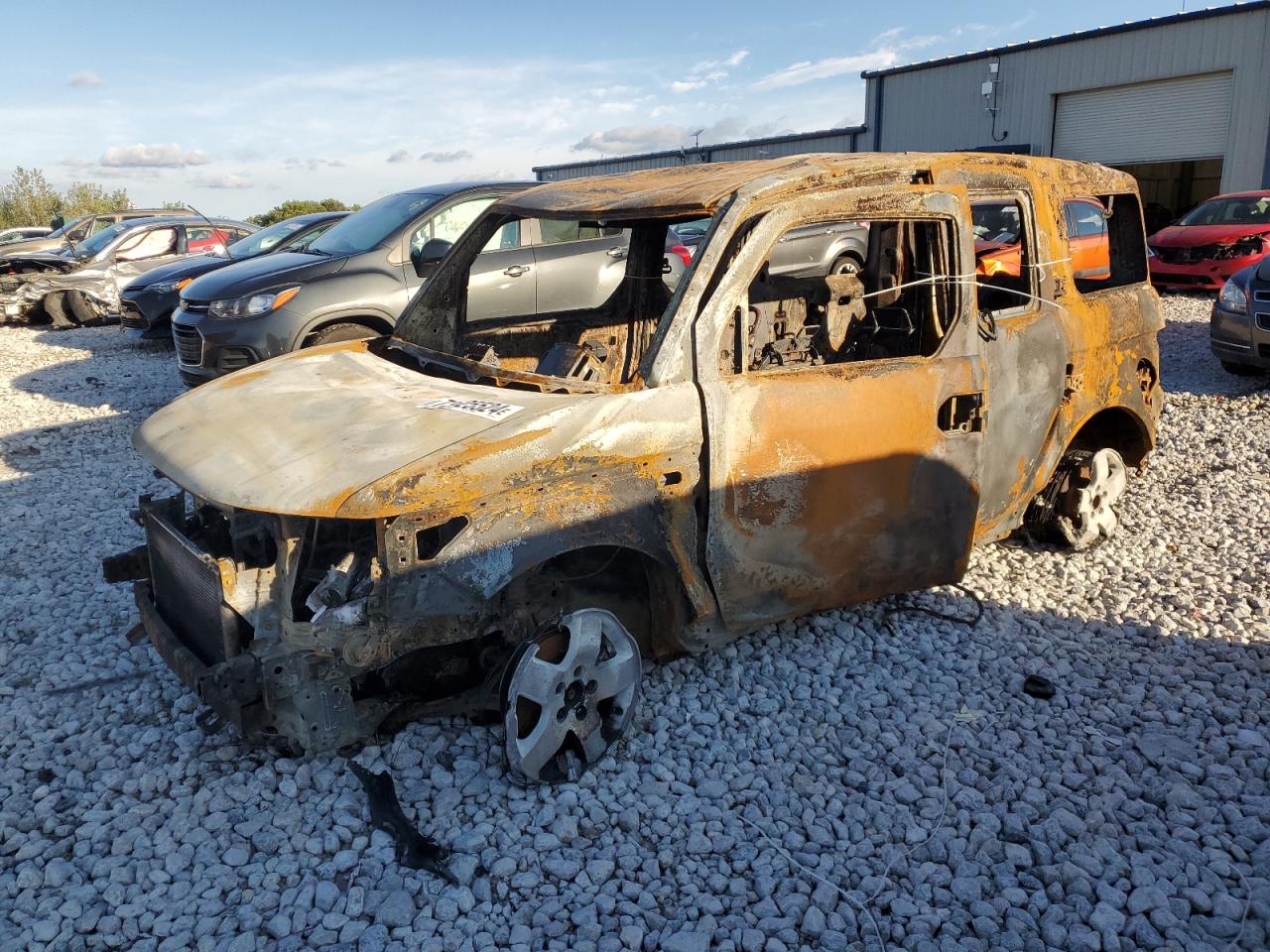 Lot #2988906977 2004 HONDA ELEMENT EX