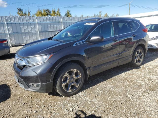 2019 HONDA CR-V EXL 2HKRW2H84KH106758  72966554