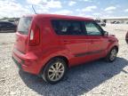 KIA SOUL + photo