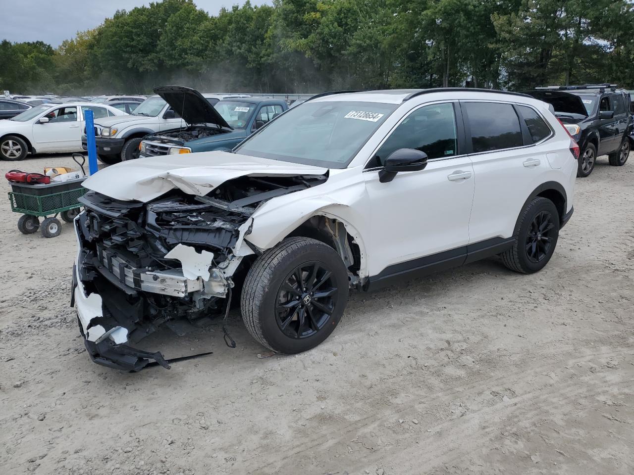 5J6RS6H50RL005824 HONDA CR-V SPORT 2024