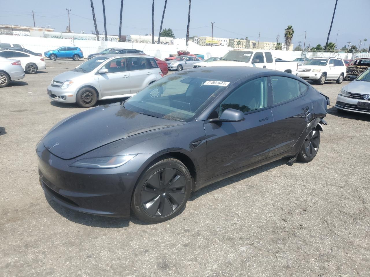 Lot #2976549578 2024 TESLA MODEL 3