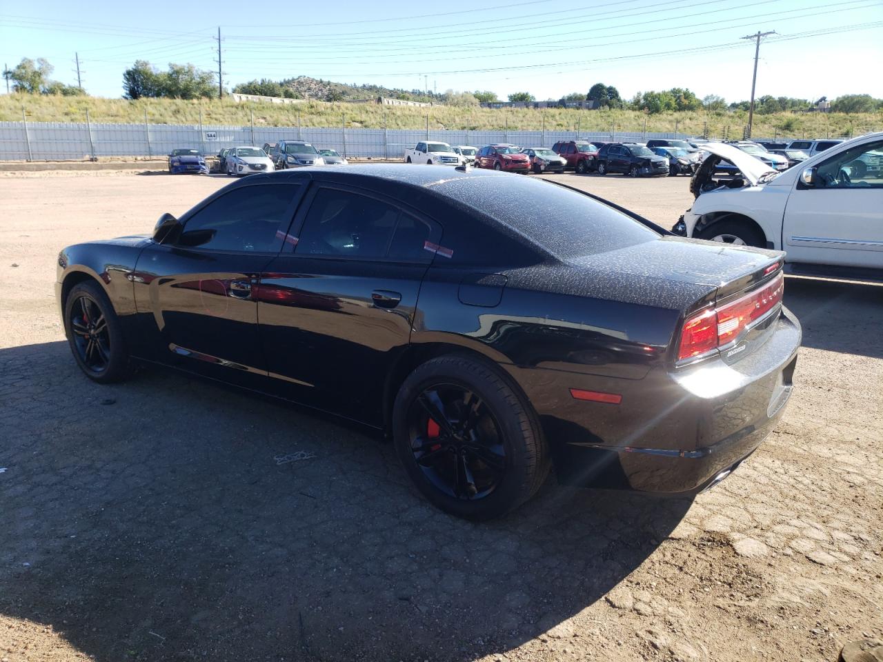 Lot #2921573832 2014 DODGE CHARGER R/