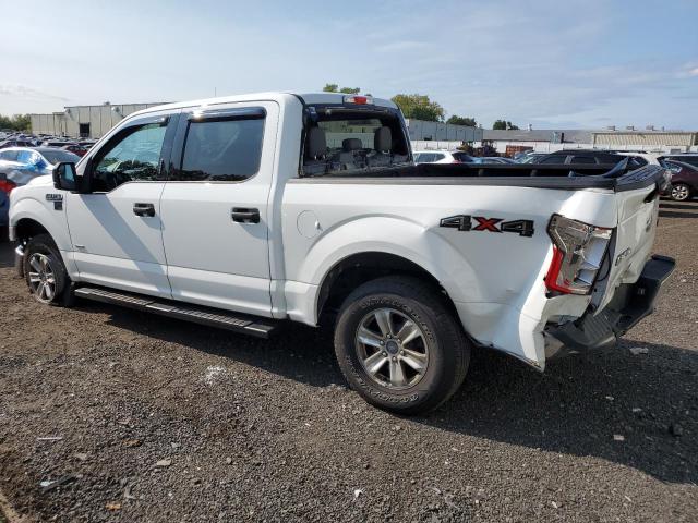 2015 FORD F150 SUPER - 1FTEW1EP3FFB86266