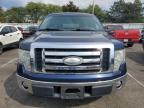 FORD F150 SUPER photo