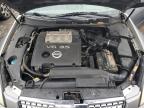 NISSAN MAXIMA SE photo