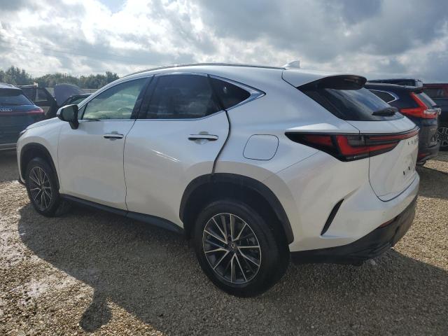 2023 LEXUS NX 250 JTJGDCAZ2P5009827