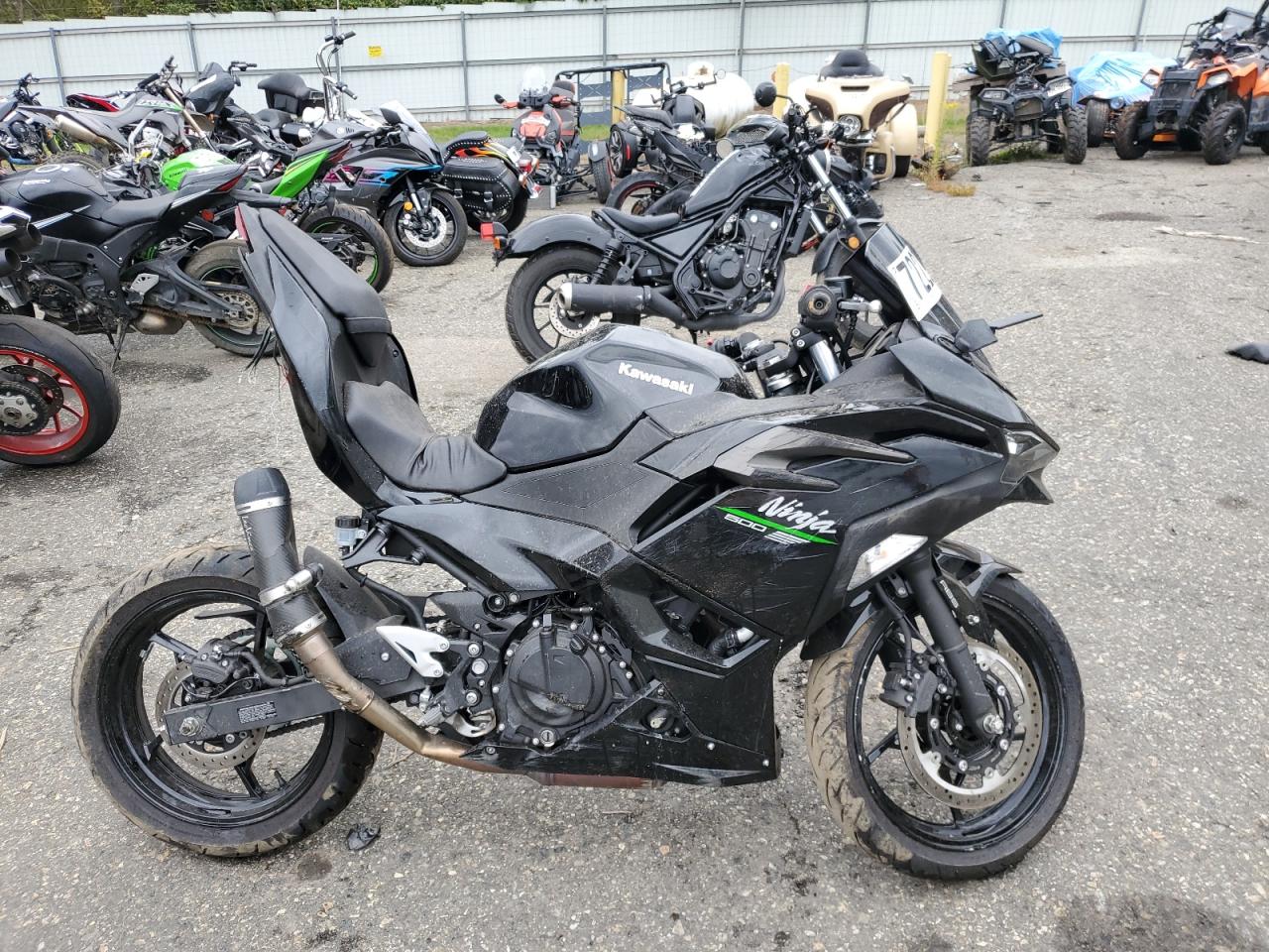 Kawasaki Ninja 500 2024 EX500GR