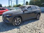 2024 HYUNDAI TUCSON SEL - 5NMJFCDE1RH378917