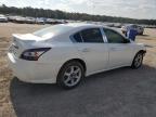 NISSAN MAXIMA S photo