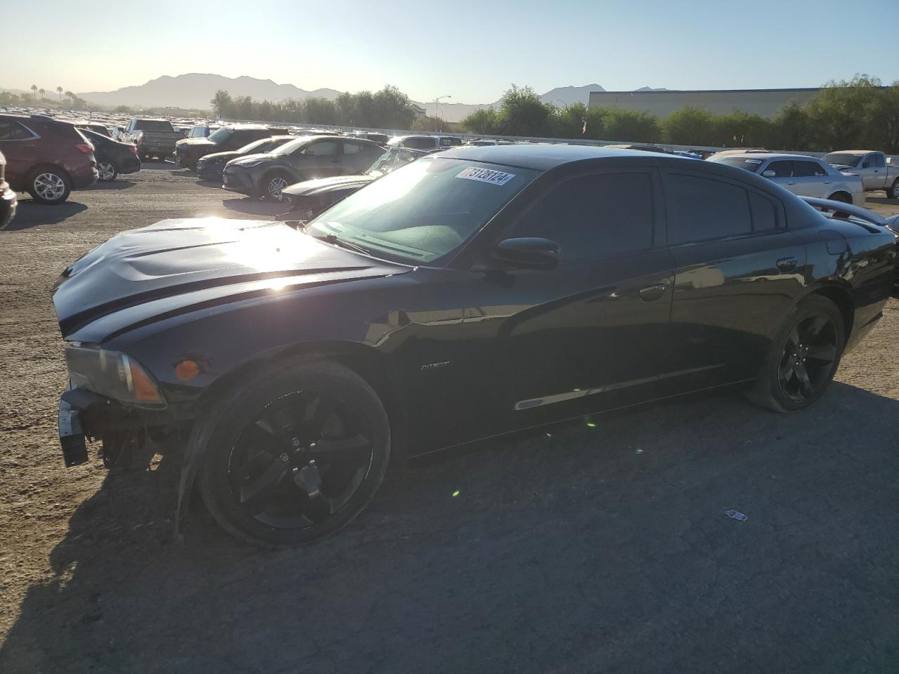 Lot #2893425585 2014 DODGE CHARGER R/