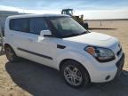 KIA SOUL + photo