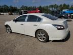 NISSAN MAXIMA S photo