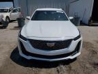 CADILLAC CT5 PREMIU photo