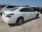 NISSAN MAXIMA S photo