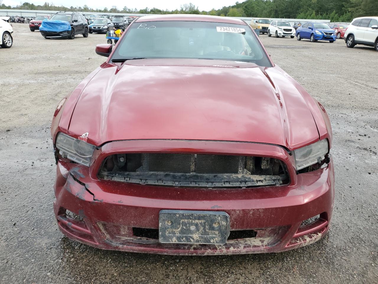 Lot #2974624471 2014 FORD MUSTANG