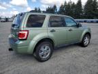 FORD ESCAPE XLT photo