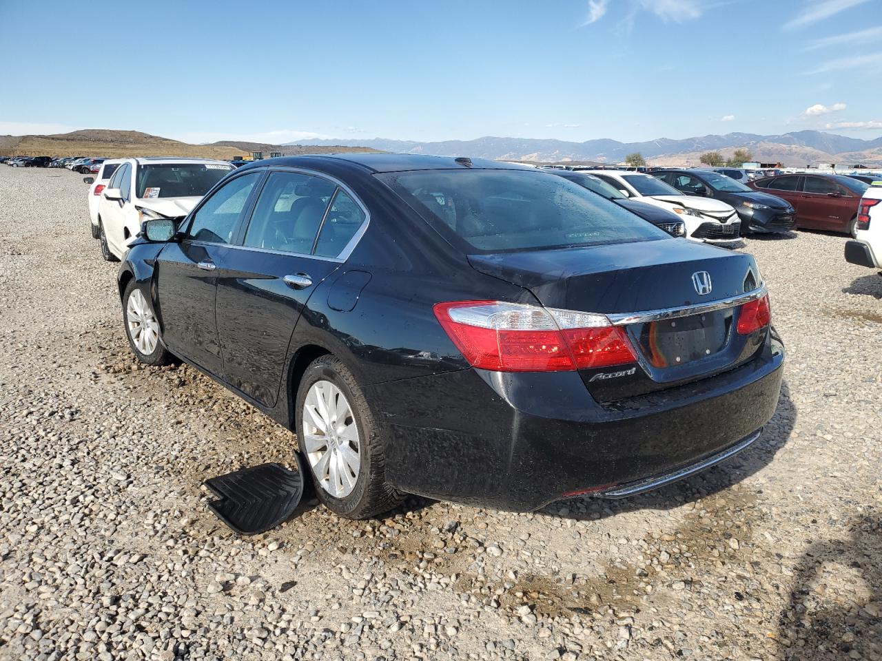 Lot #3021141237 2014 HONDA ACCORD EXL