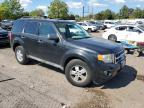 FORD ESCAPE XLT photo