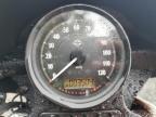 Lot #3023939206 2021 HARLEY-DAVIDSON XL1200 NS