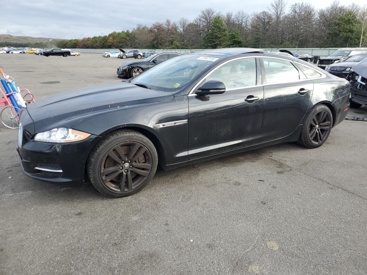 Lot #2989152766 2013 JAGUAR XJ