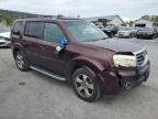 HONDA PILOT EXL photo