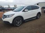 HONDA CR-V EXL photo