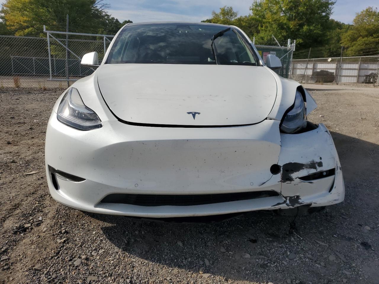 Lot #2972460680 2022 TESLA MODEL Y