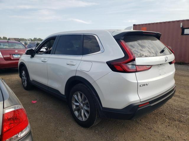 2024 HONDA CR-V EXL - 5J6RS4H79RL008775