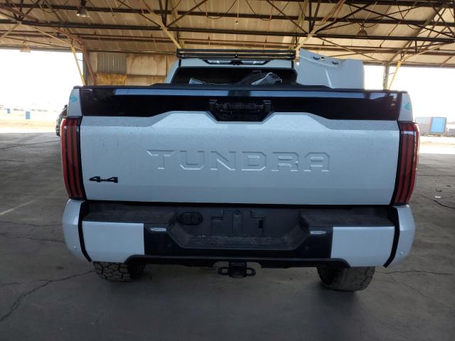 2023 TOYOTA TUNDRA CRE - 5TFNA5EC2PX017659