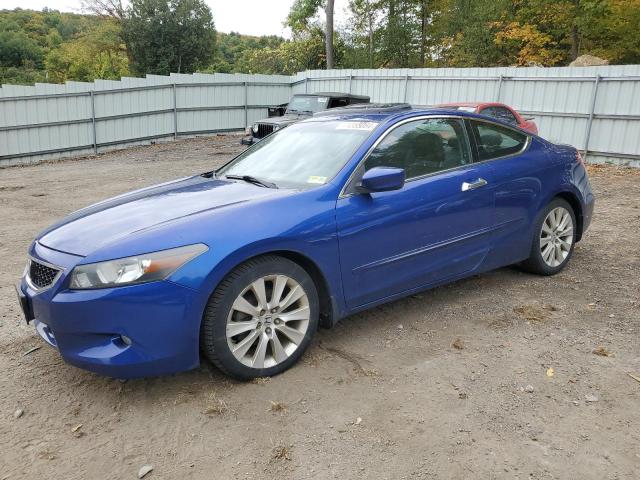 2010 HONDA ACCORD EXL 1HGCS2B83AA002375  71355084