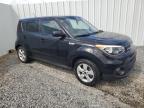 KIA SOUL photo