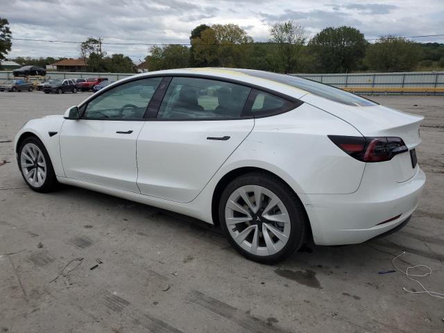 2023 TESLA MODEL 3 5YJ3E1EA7PF563242
