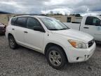 TOYOTA RAV4 photo