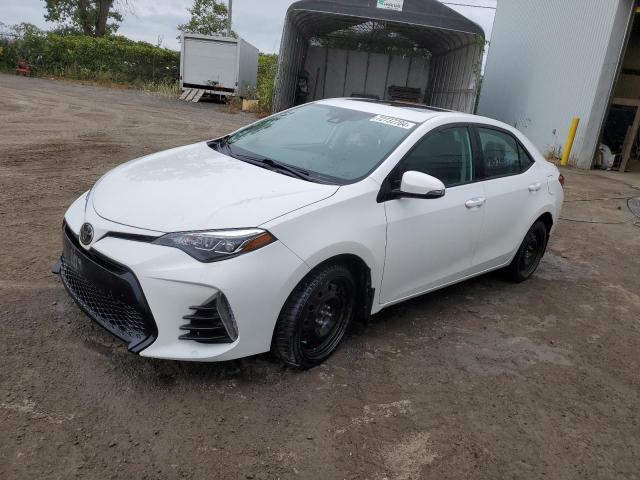 2019 TOYOTA COROLLA L 2019