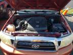 TOYOTA TACOMA DOU photo