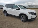 Lot #3023098900 2023 HONDA PASSPORT E