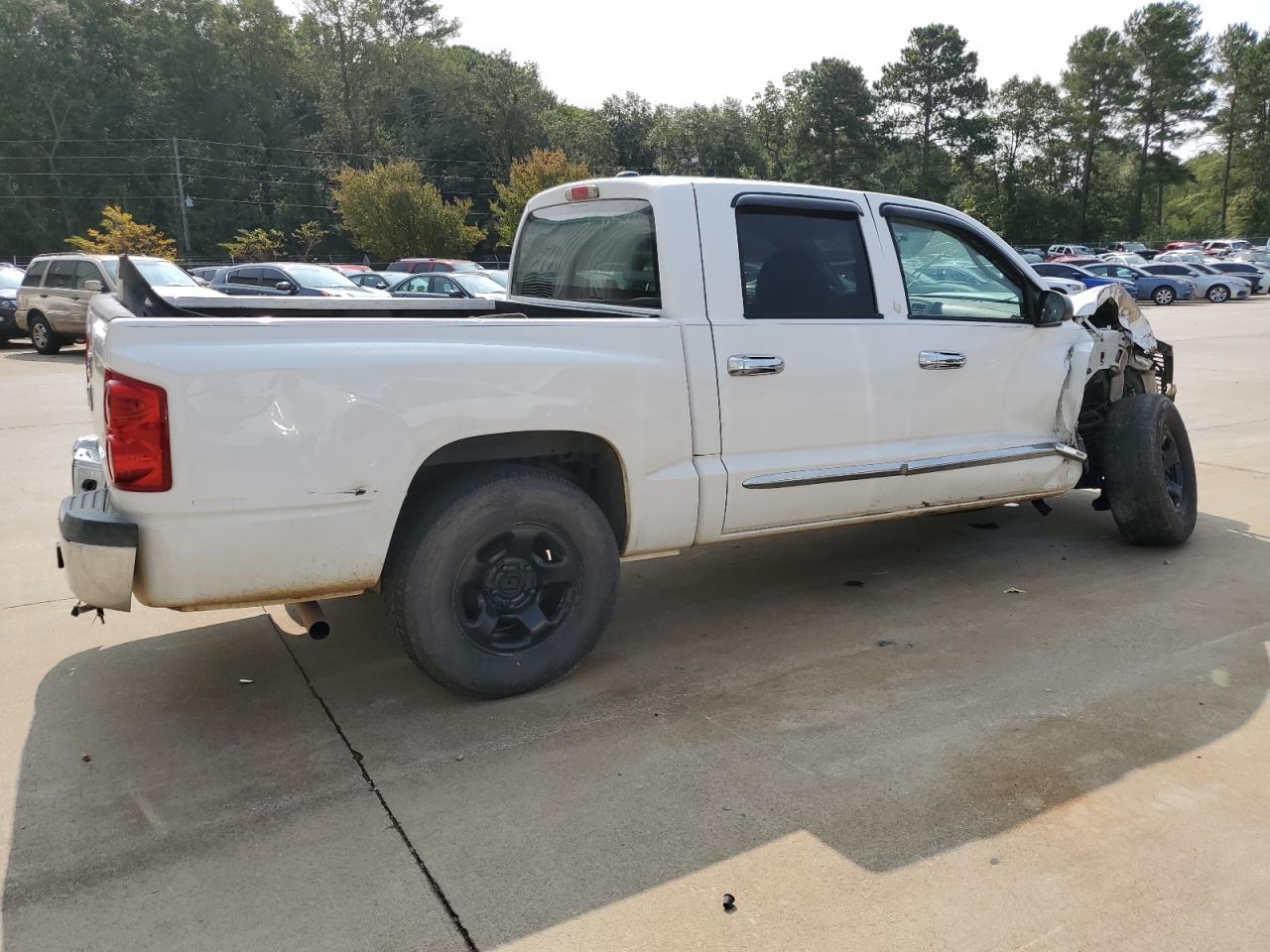 Lot #2918960560 2005 DODGE DAKOTA QUA