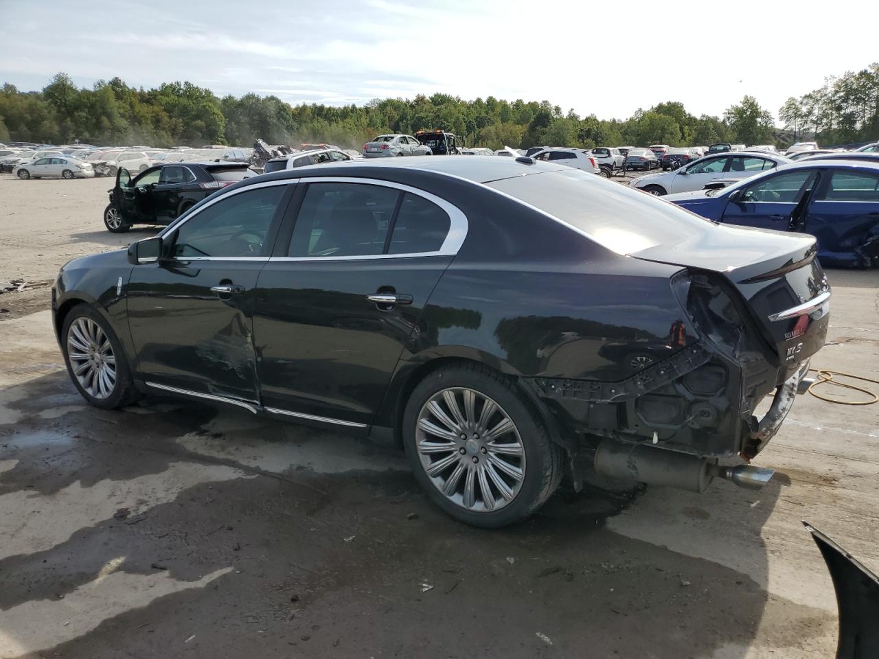 Lot #3024254862 2015 LINCOLN MKS