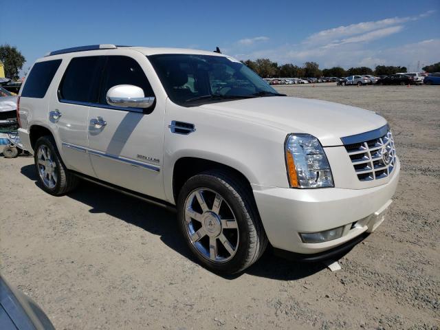 2011 CADILLAC ESCALADE P 1GYS4CEF8BR137188  72575834