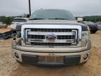 FORD F150 SUPER photo