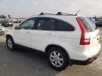 HONDA CR-V EXL photo