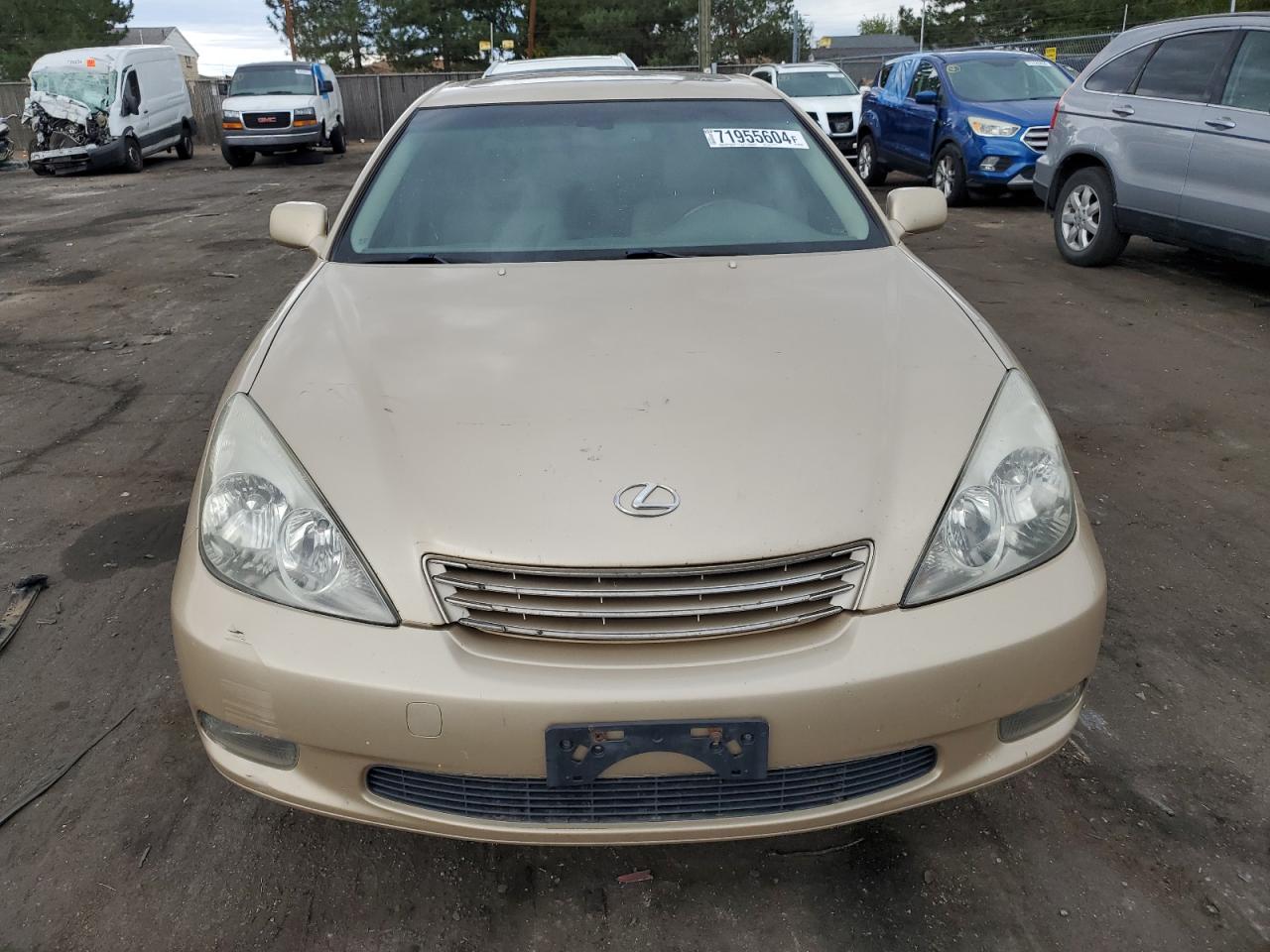 Lot #2926514283 2002 LEXUS ES 300