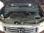 HONDA PILOT EXL photo