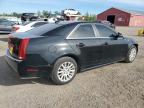 CADILLAC CTS photo