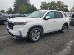 2023 HONDA PILOT EXL - 5FNYG1H42PB025361