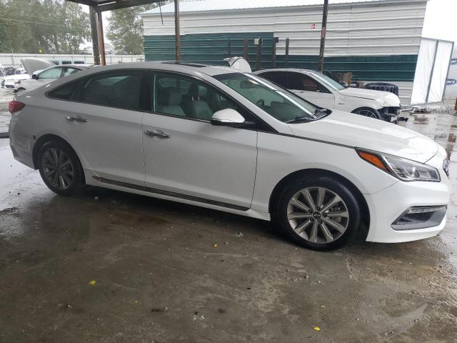 2017 HYUNDAI SONATA SPO - 5NPE34AF8HH524874
